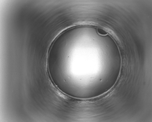 X0000070881228200606302129