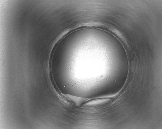 X0000070881229200606302129