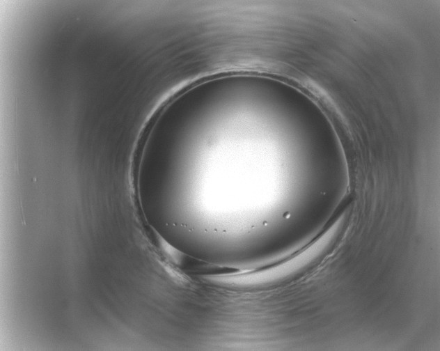 X0000070881230200606302129