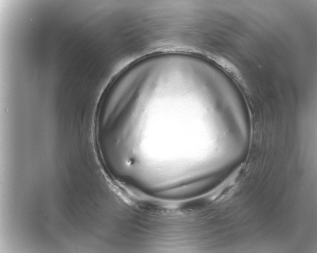 X0000070881231200606302129