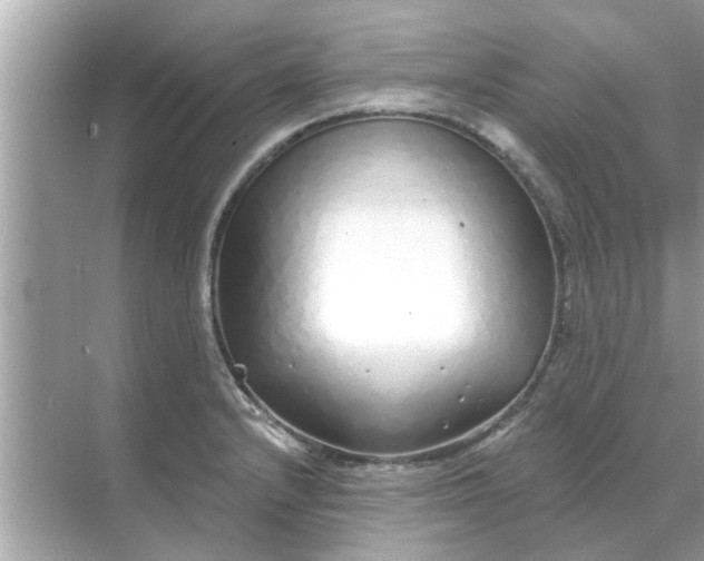 X0000070881232200606302129