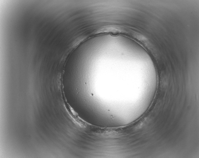 X0000070881233200606302129