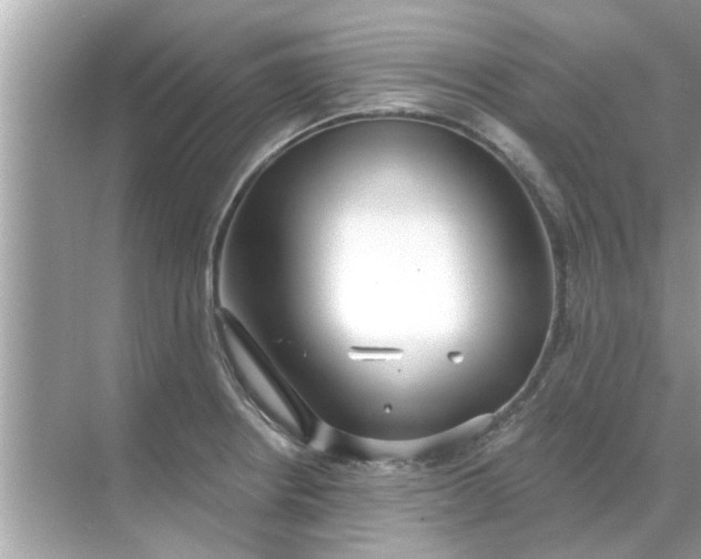 X0000070881234200606302129