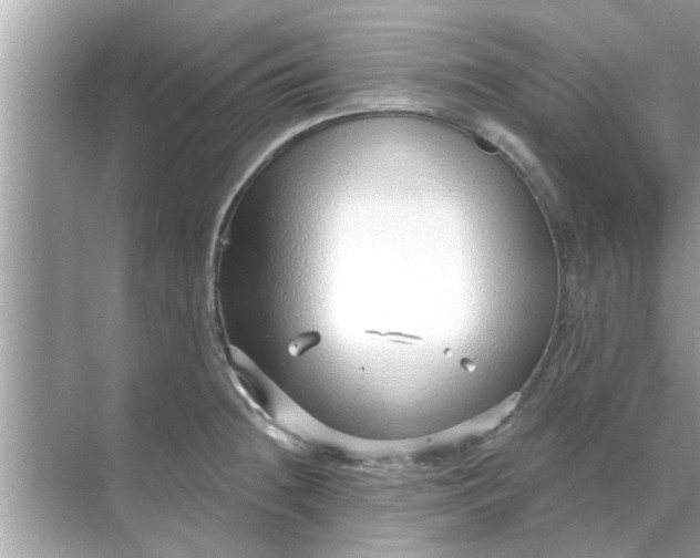 X0000070881236200606302129