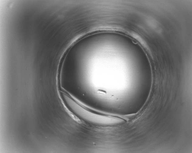 X0000070881237200606302129