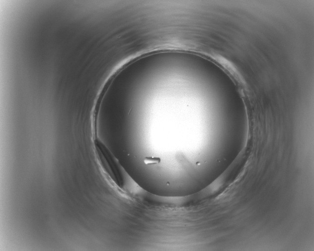 X0000070881238200606302129