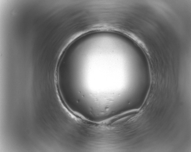 X0000070881239200606302129