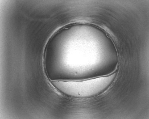 X0000070881240200606302129