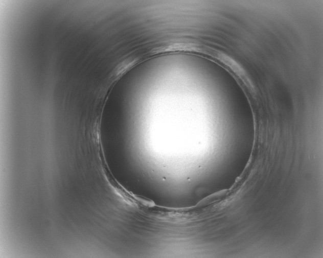 X0000070881241200606302129