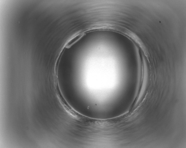 X0000070881242200606302129