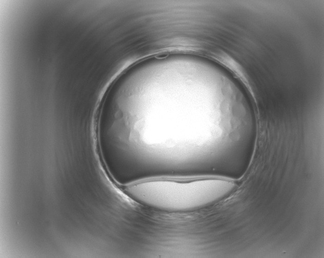 X0000070881243200606302129