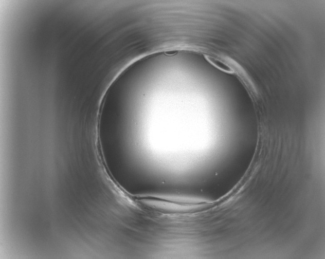 X0000070881244200606302129