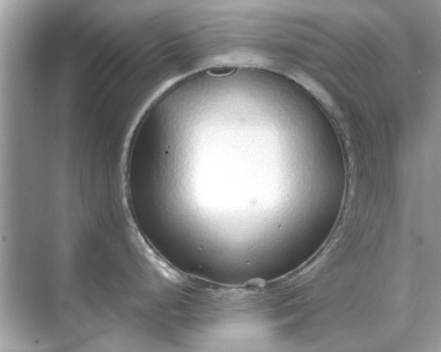 X0000070881248200606302129