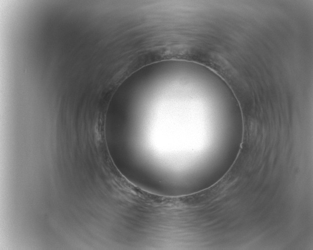 X0000070881250200606302128