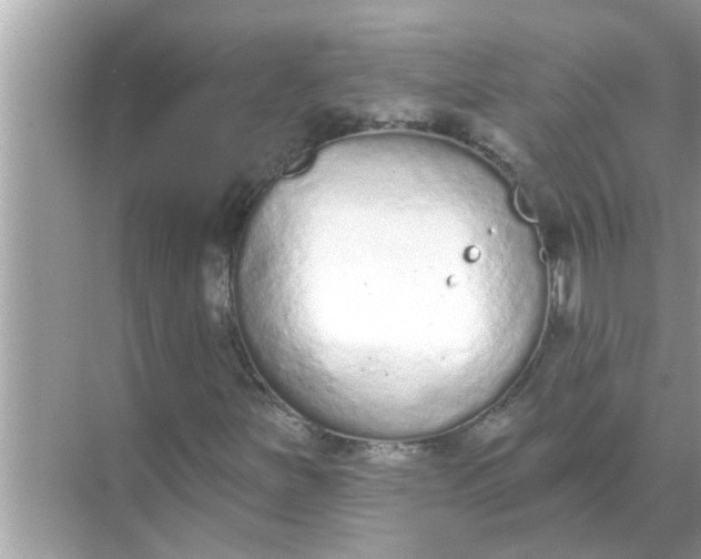 X0000070881251200606302128