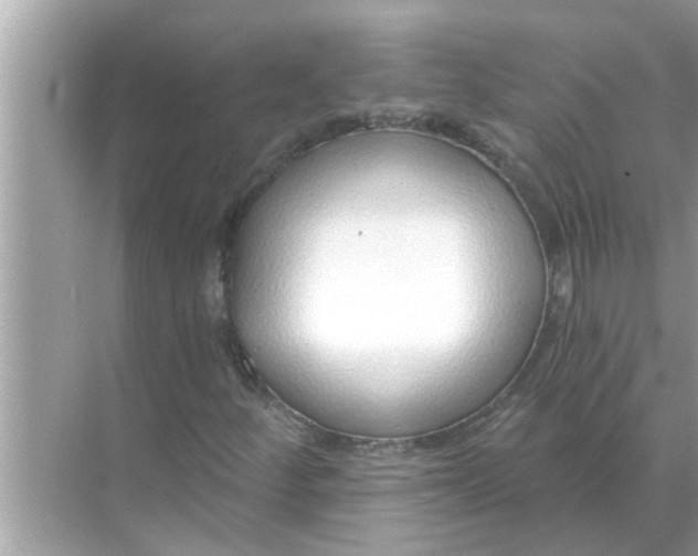 X0000070881252200606302128