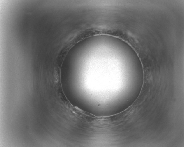 X0000070881253200606302128