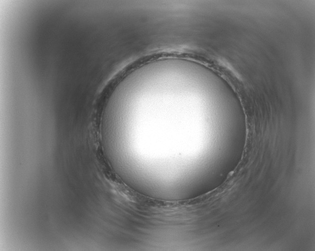 X0000070881256200606302128