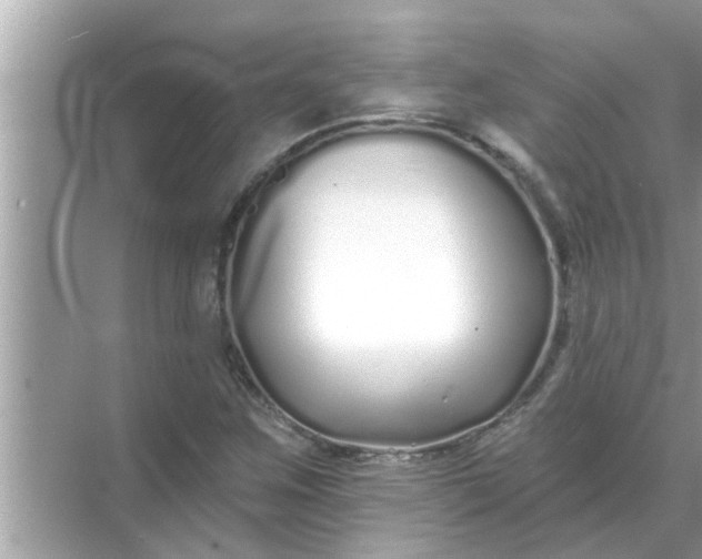 X0000070881259200606302128