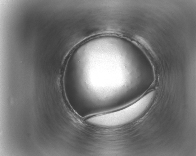 X0000070881260200606302128