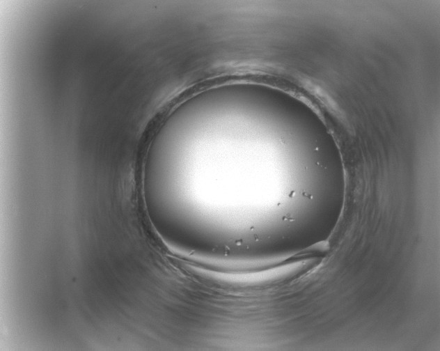 X0000070881261200606302128