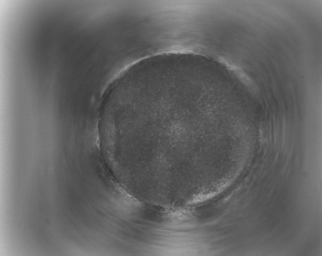 X0000070881262200606302128