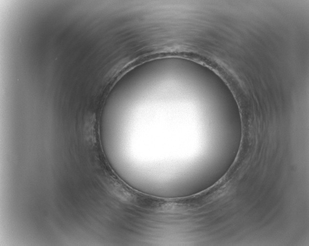 X0000070881265200606302128