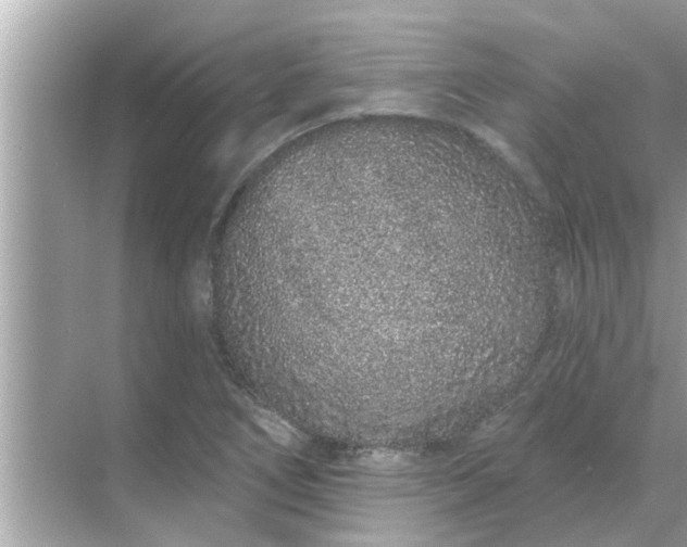 X0000070881266200606302128