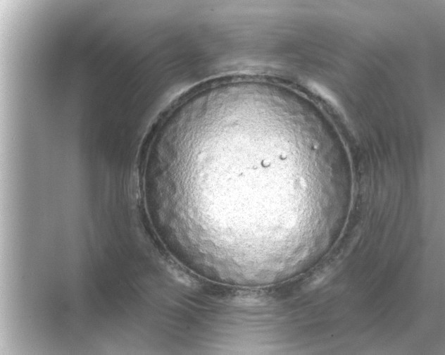 X0000070881267200606302128