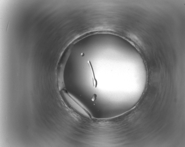 X0000070881268200606302128