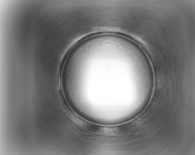 X0000070881271200606302128