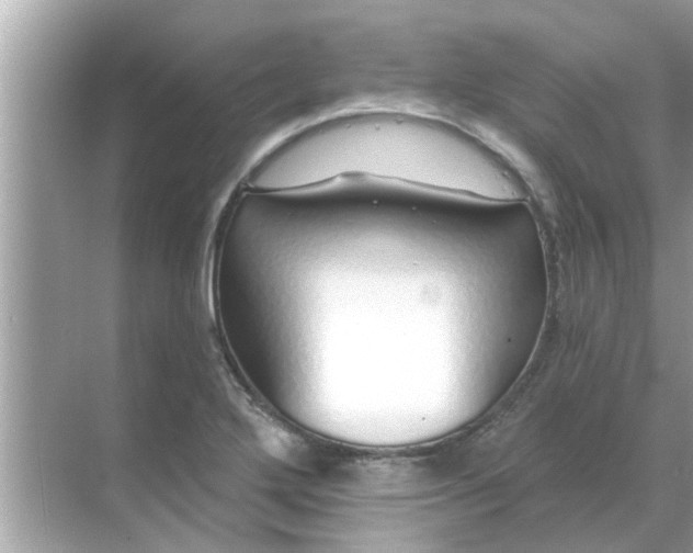 X0000070881272200606302128