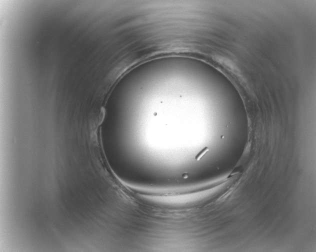 X0000070881273200606302128