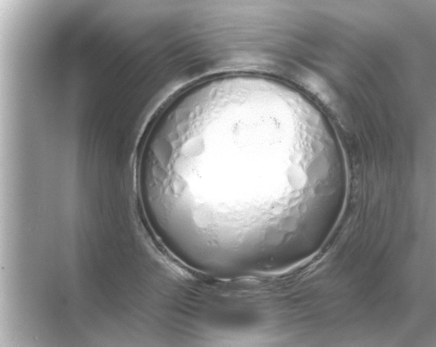 X0000070881275200606302128