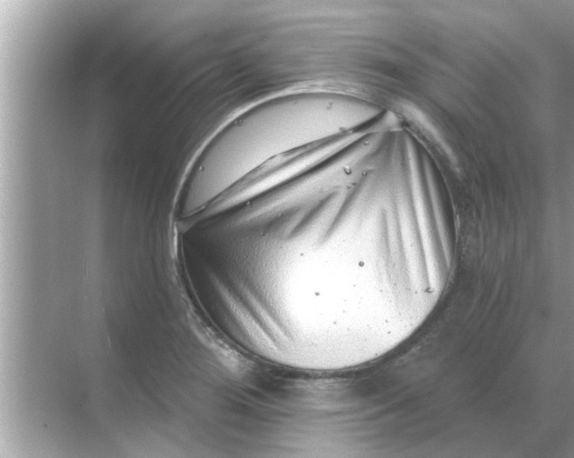 X0000070881276200606302128