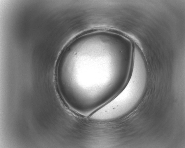 X0000070881279200606302128