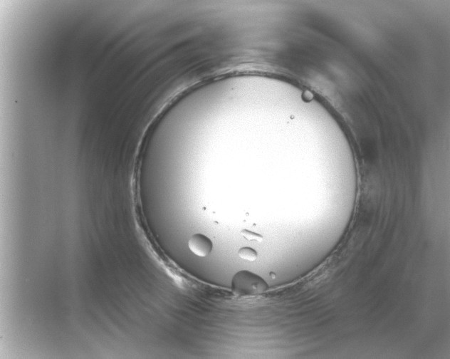 X0000070881282200606302128