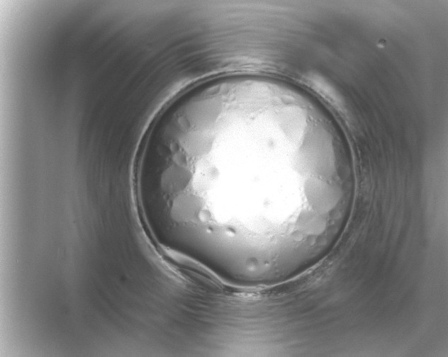 X0000070881283200606302128