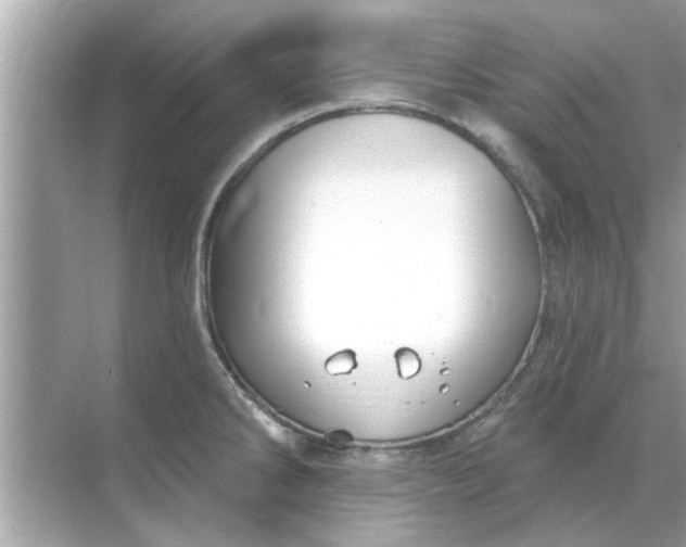 X0000070881286200606302128