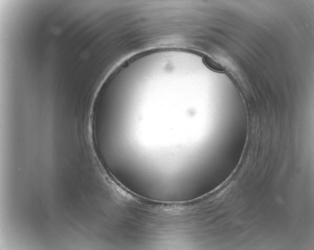 X0000070881288200606302128