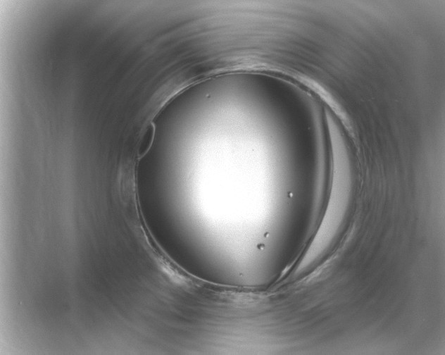 X0000070881289200606302128