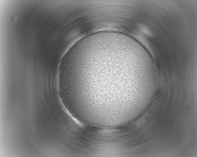 X0000070881290200606302128