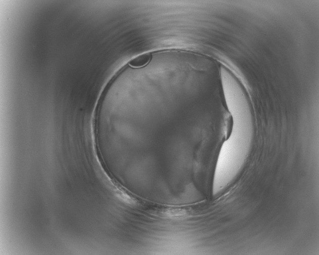 X0000070881291200606302128