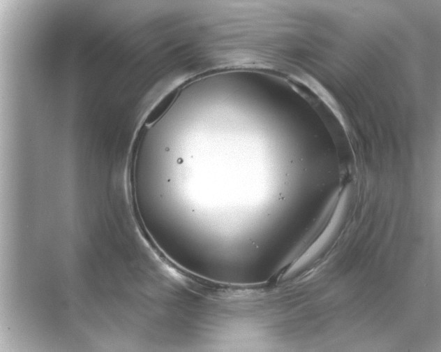 X0000070881293200606302128