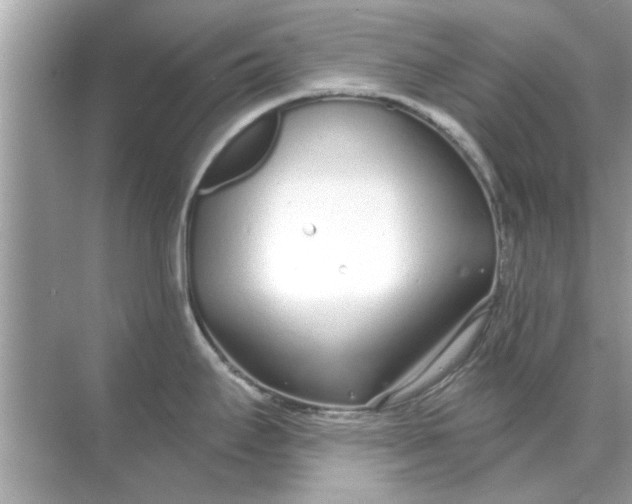 X0000070881295200606302128