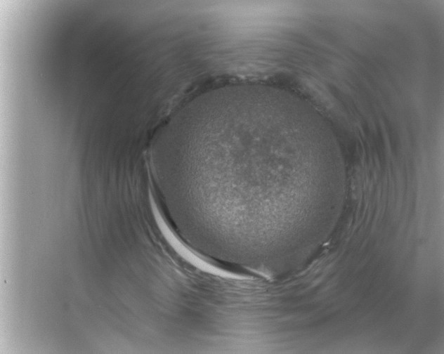 X0000070881298200606302127