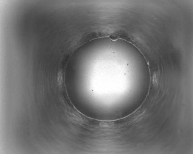 X0000070881299200606302127