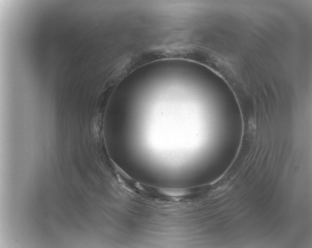 X0000070881300200606302127