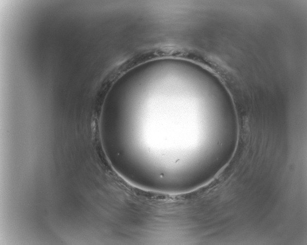 X0000070881302200606302127