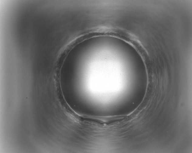 X0000070881304200606302127